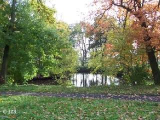p2_1.jpg