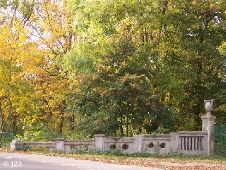 p5.jpg