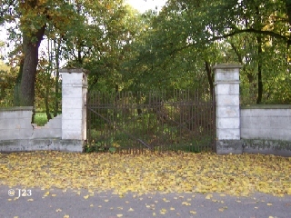 p6.jpg
