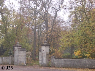 p1.jpg