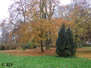 p2.jpg