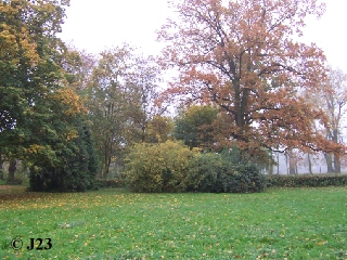 p3.jpg