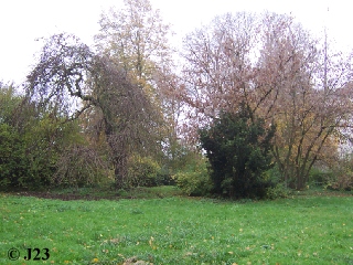 p4.jpg