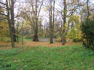 p2.jpg