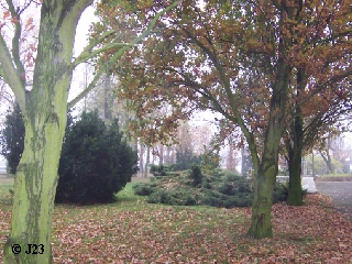 p2.jpg