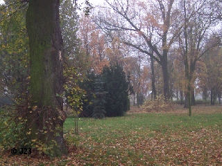 p3.jpg