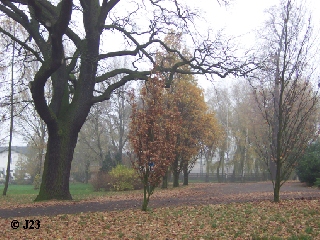 p4.jpg