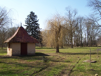 pp3.jpg