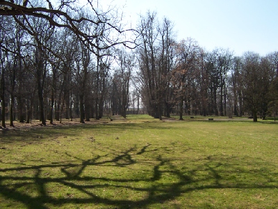 pp4.jpg